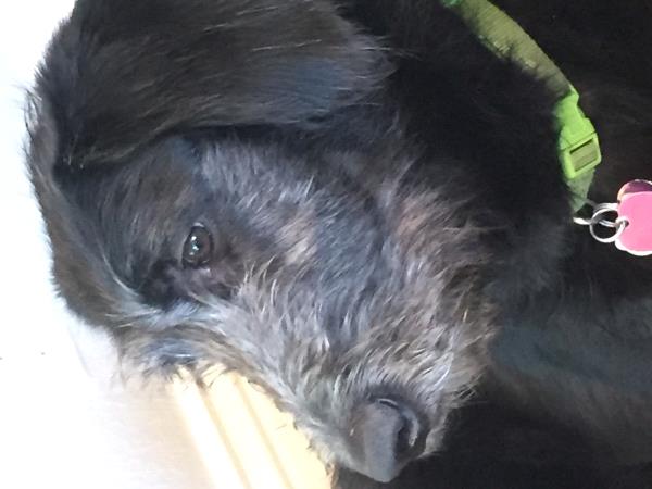 /Images/uploads/Humane Society of Utah/HSUCalendar/entries/981thumb.jpg